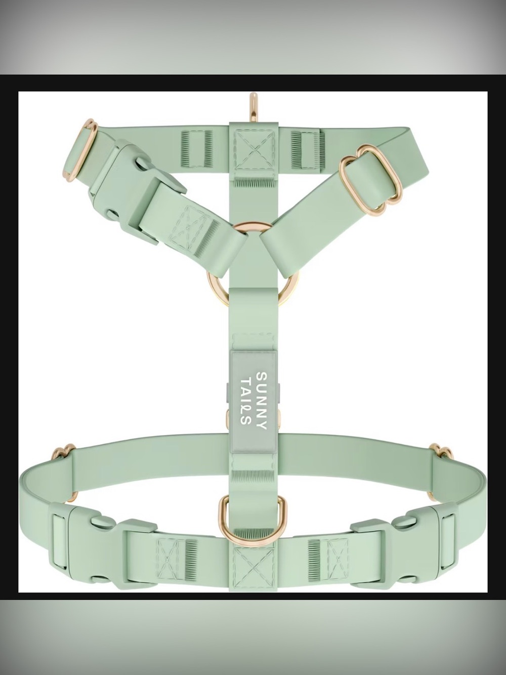 Mint Green No-Pull Dog Harness